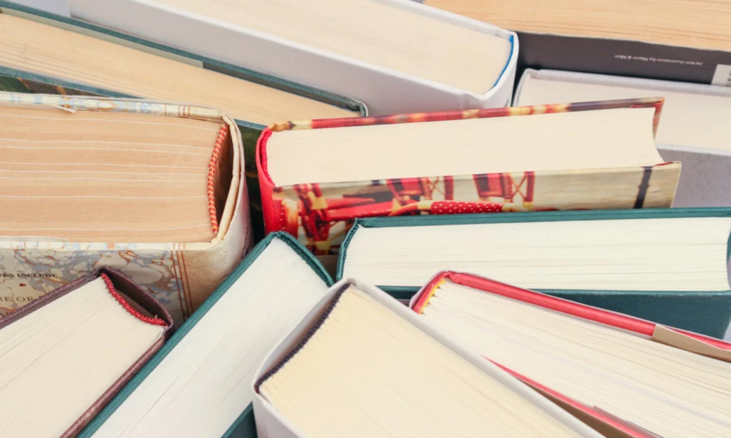 Dia Nacional do Livro