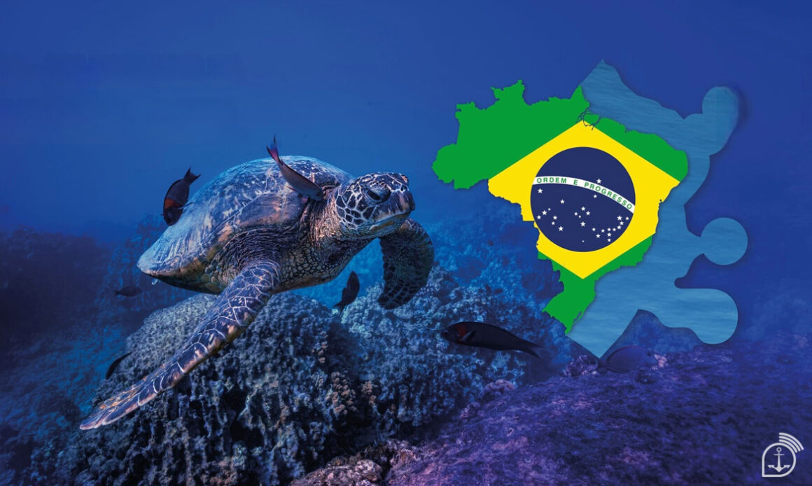 Dia Nacional da Amazônia Azul