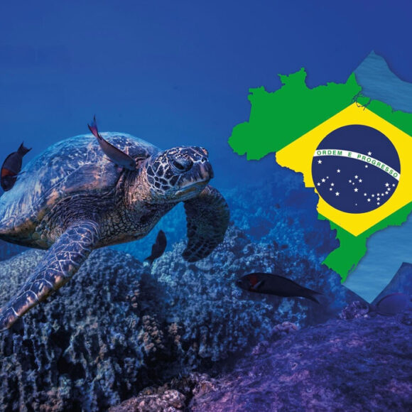 Dia Nacional da Amazônia Azul Dia Nacional da Amazônia Azul