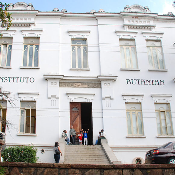 Criação do Instituto Butantan