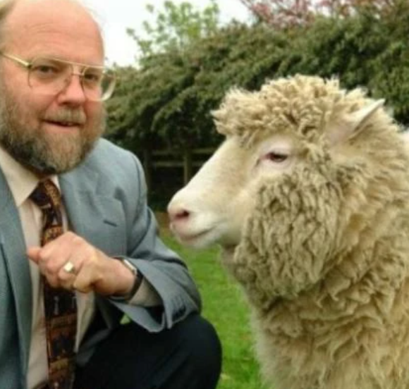 Cientistas britânicos apresentam a ovelha Dolly