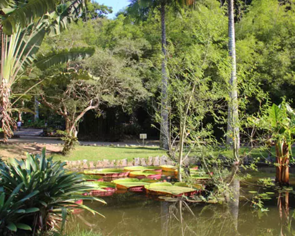Criação do Jardim Botânico do Rio de Janeiro