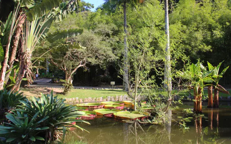Criação do Jardim Botânico do Rio de Janeiro