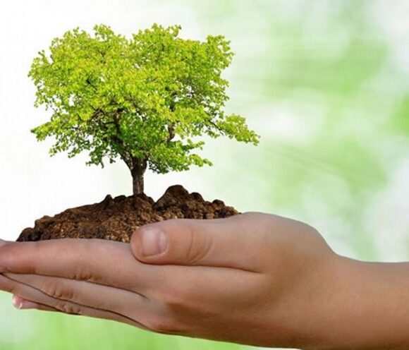 Dia Mundial do Meio Ambiente
